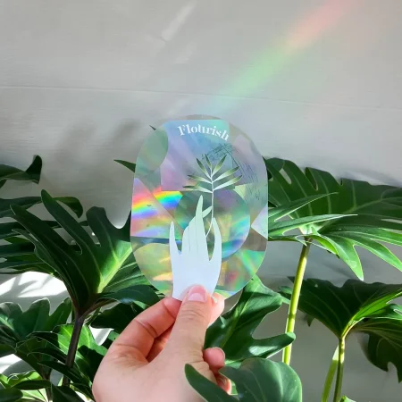 risma-aufkleber-fensterfolie-regenbogen-licht-effekt. Prisma Aufkleber Fensterfolie erzeugt tanzende Regenbögen an der Zimmerwand