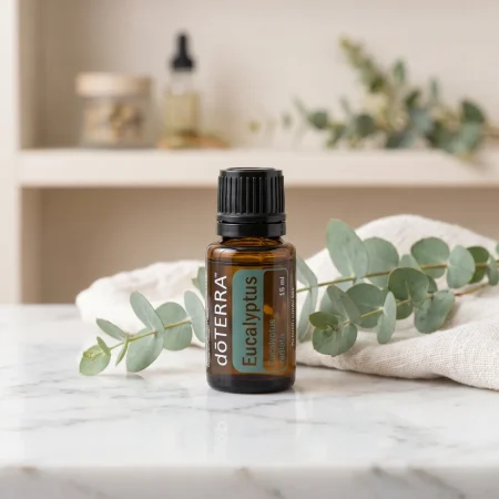 Eukalyptus ätherisches Öl für freie Atemwege und Aroma Diffuser